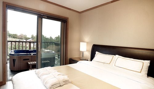 Room, 1 Bedroom, Jetted Tub (3rd Floor, Jacuzzi usage before 8PM)