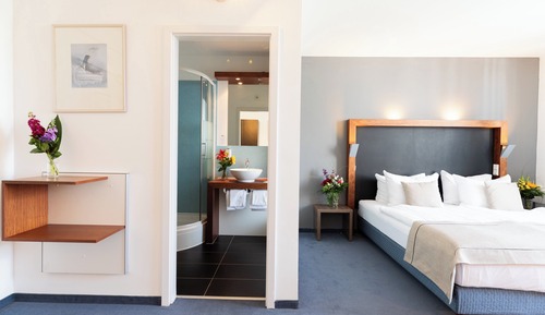 Comfort Single Room