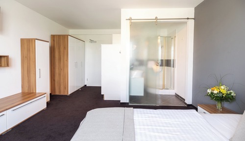 Business Single Room, 1 Queen Bed