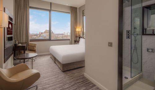 Deluxe Room, 1 King Bed, Non Smoking