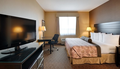 Suite, 1 King Bed with Sofa bed, Non Smoking, Kitchen (with Sofabed)