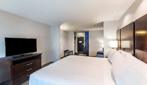 Suite, 1 King Bed with Sofa bed