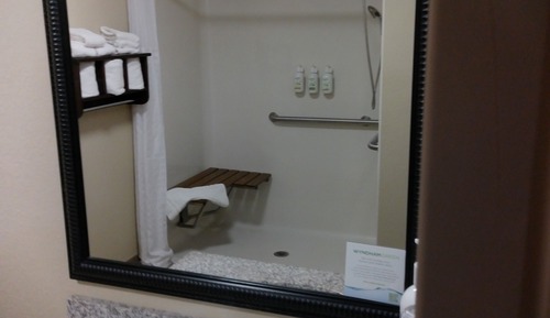 Room, 1 King Bed, Accessible, Non Smoking (Mobility/Hearing, Roll-In Shower)