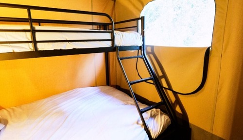 Premium Tent