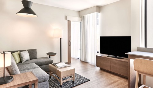 Suite, 1 King Bed with Sofa bed