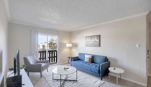 Apartment (1 Bedroom)