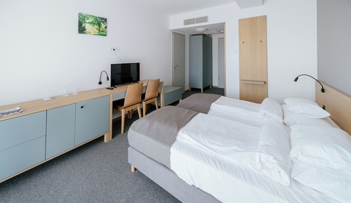 Superior Double or Twin Room