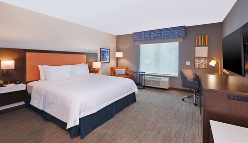 Room, 1 King Bed, Refrigerator & Microwave