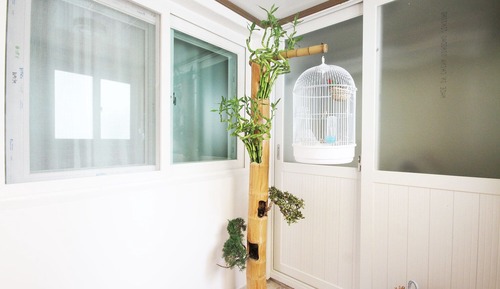 Room (Penthouse (up to 12 people based on 6)