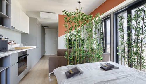 Luxury Apartment