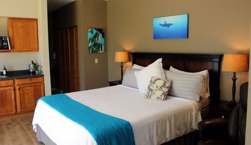 Moana Room - Panoramic Studio Suite, 1 King bed, Bay View, Garden Area - Main House