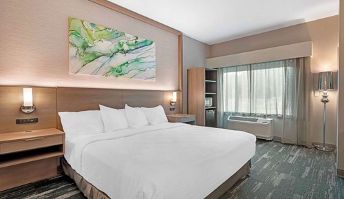 Standard Room, 1 King Bed, Accessible, Non Smoking