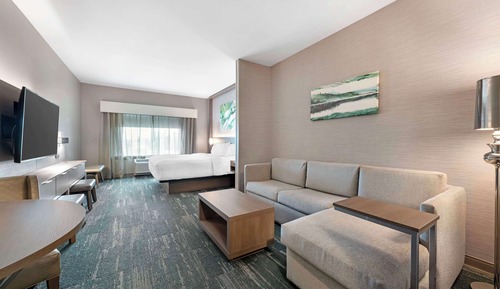 Suite, 1 King Bed, Accessible, Bathtub (with Sofabed)