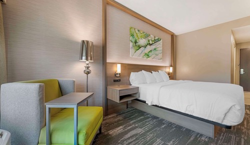 Standard Room, 1 King Bed, Non Smoking