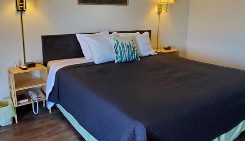 Standard Room, 1 King Bed, Non Smoking