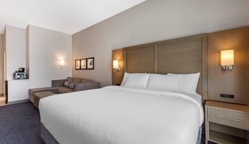 1 King Bed, 1 Room Suite, Sofabed