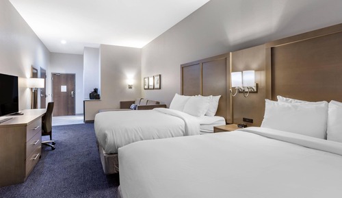 2 Queen Beds, 1 Room Suite, Sofabed