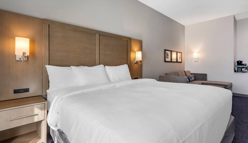 1 King Bed, 1 Room Suite, Mobility Accessible, Sofabed