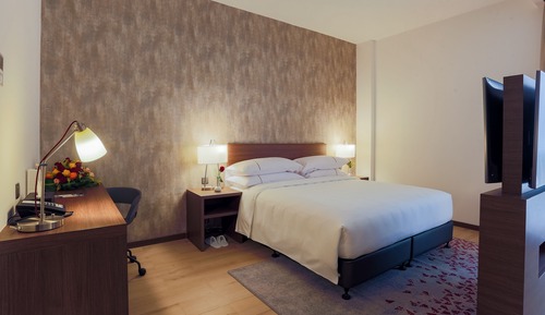 Studio Suite, 1 King Bed with Sofa bed (Efficiency)