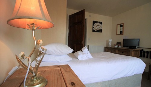 Basic Twin Room