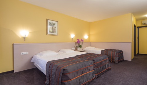 Traditionnelle Double Room (Annex)
