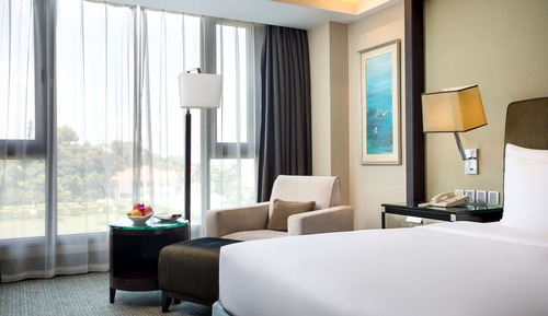 Xinyue Park Deluxe King Room (Welcome Fruits)