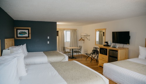 Standard Room 3 Queen beds + Kitchenette