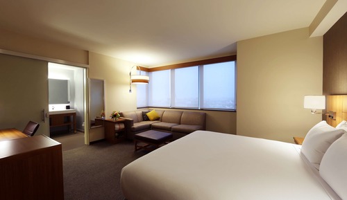 Suite, 1 King Bed, Accessible (ADA)