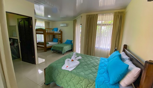 Superior Room, Multiple Beds