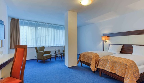 Comfort Room, 1 Double Bed