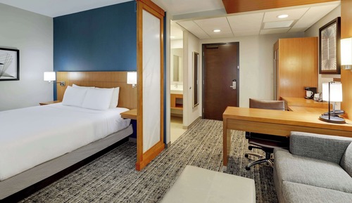 Room, 1 King Bed with Sofa bed
