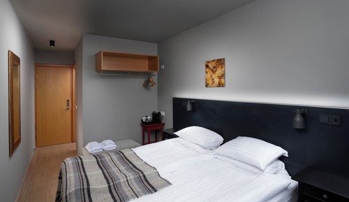 Double or Twin Room (with Glacier View)