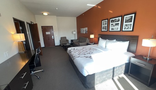 Suite, 1 King Bed with Sofa bed, Accessible, Non Smoking