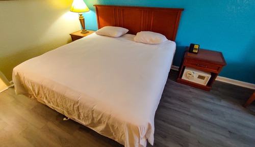 Traditional Room, 1 King Bed, Smoking, Refrigerator & Microwave