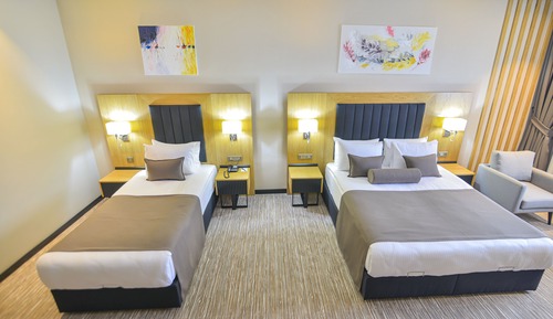 Business Triple Room