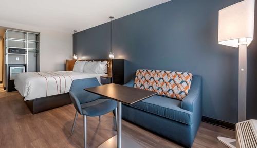 Standard Room, 1 King Bed, Non Smoking, Refrigerator (Larger Room;with Sofabed)
