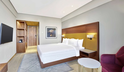 Superior Room, View (Statue View)