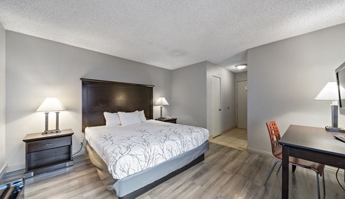 Basic Room, 1 King Bed