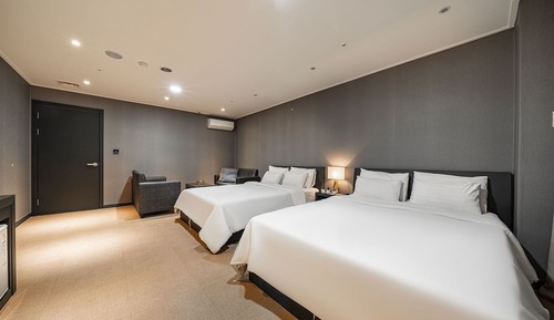 Room (Premium twin room (cancellation not p)