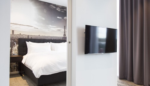 Business Double Room, 1 King Bed with Sofa bed