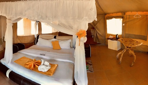 Luxury Single Room