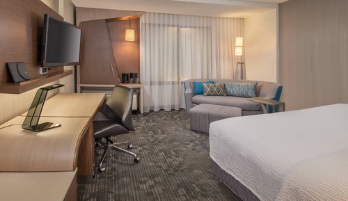 Room, 1 King Bed with Sofa bed