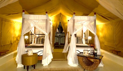 Standard Tent