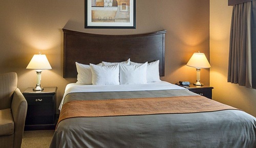 Room, 1 King Bed, Accessible, Non Smoking