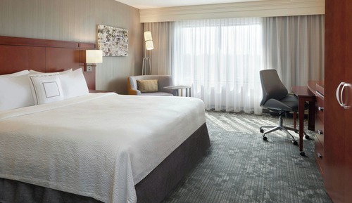 Room, 1 King Bed