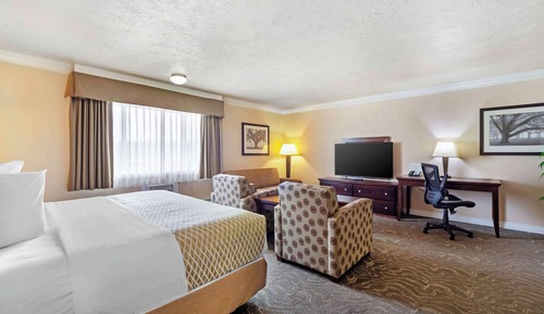 Suite, 1 King Bed, Non Smoking, Refrigerator & Microwave (No Pets in room type)
