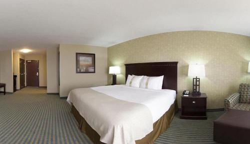 Standard Room, 1 King Bed, Accessible (Hearing, Mobility Tub)