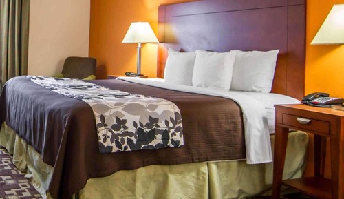 Room, 1 King Bed, Accessible, Non Smoking