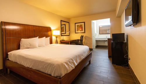 Deluxe Room, 1 King Bed, Non Smoking, Refrigerator & Microwave