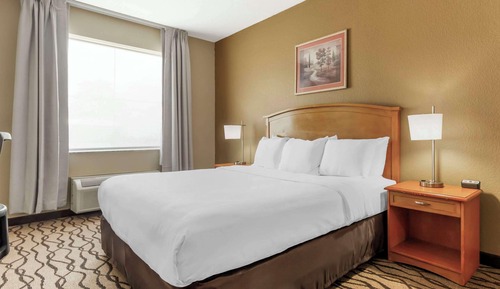 Standard Room, 1 King Bed, Non Smoking, Jetted Tub